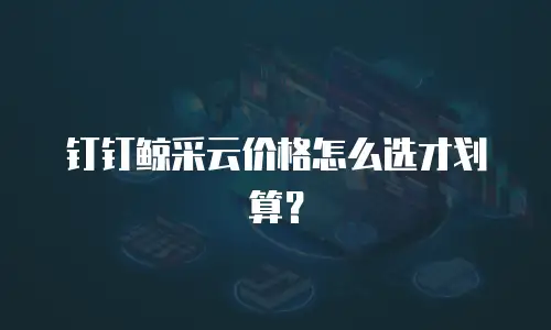 钉钉鲸采云价格怎么选才划算？