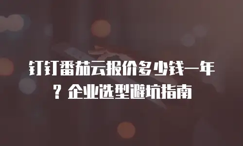 钉钉番茄云报价多少钱一年？企业选型避坑指南