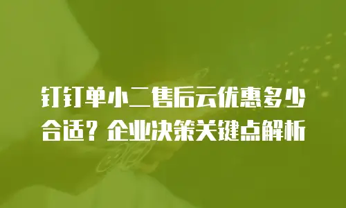 钉钉单小二售后云优惠多少合适？企业决策关键点解析