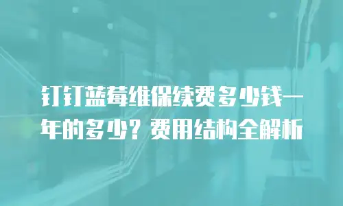 钉钉蓝莓维保续费多少钱一年的多少？费用结构全解析
