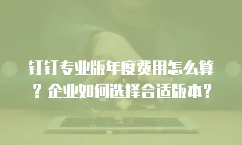钉钉专业版年度费用怎么算？企业如何选择合适版本？