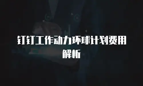 钉钉工作动力环球计划费用解析