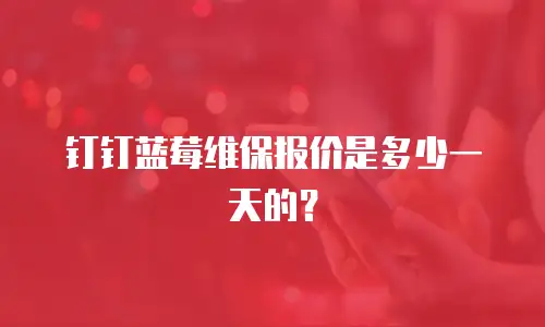 钉钉蓝莓维保报价是多少一天的？