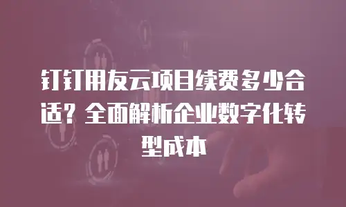钉钉用友云项目续费多少合适？全面解析企业数字化转型成本