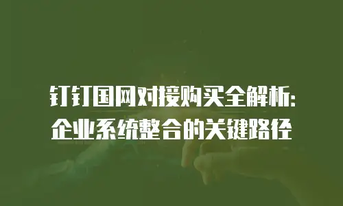 钉钉国网对接购买全解析：企业系统整合的关键路径