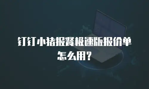钉钉小猪报餐极速版报价单怎么用？
