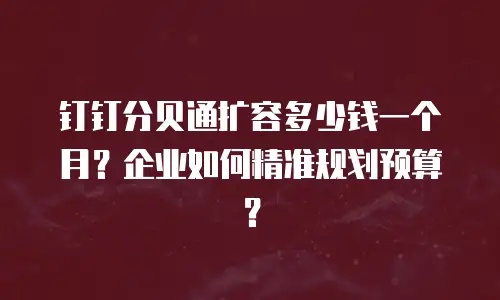 钉钉分贝通扩容多少钱一个月？企业如何精准规划预算？