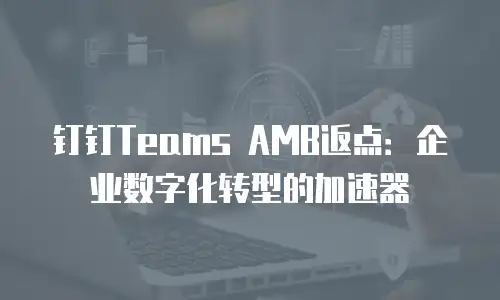 钉钉Teams AMB返点：企业数字化转型的加速器