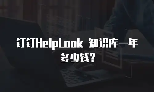 钉钉HelpLook 知识库一年多少钱？