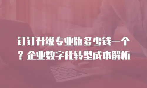 钉钉升级专业版多少钱一个？企业数字化转型成本解析