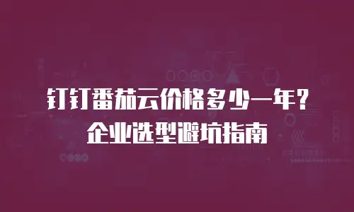 钉钉番茄云价格多少一年？企业选型避坑指南