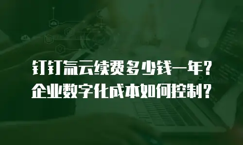 钉钉氚云续费多少钱一年？企业数字化成本如何控制？