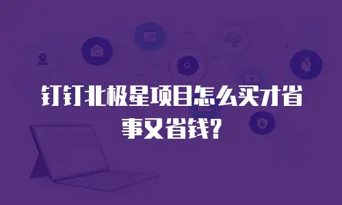 钉钉北极星项目怎么买才省事又省钱？