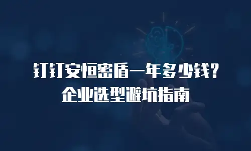 钉钉安恒密盾一年多少钱？企业选型避坑指南