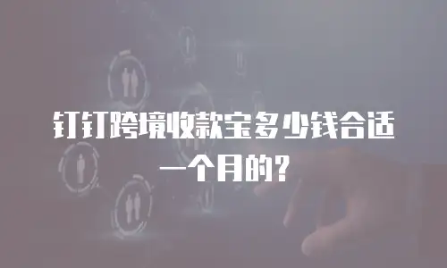 钉钉跨境收款宝多少钱合适一个月的？