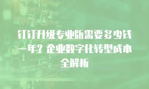 钉钉升级专业版需要多少钱一年？企业数字化转型成本全解析