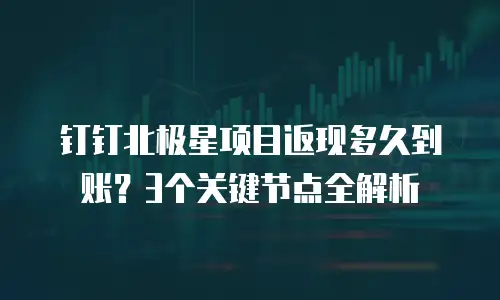 钉钉北极星项目返现多久到账？3个关键节点全解析