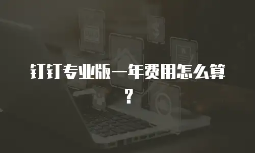 钉钉专业版一年费用怎么算？