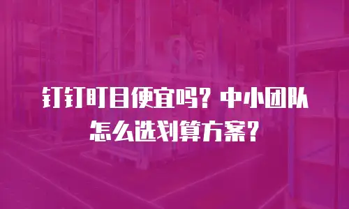 钉钉盯目便宜吗？中小团队怎么选划算方案？