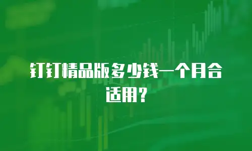 钉钉精品版多少钱一个月合适用？