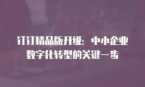 钉钉精品版升级：中小企业数字化转型的关键一步