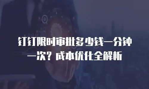 钉钉限时审批多少钱一分钟一次？成本优化全解析