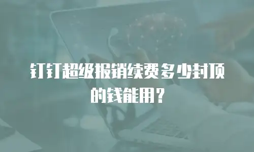 钉钉超级报销续费多少封顶的钱能用？