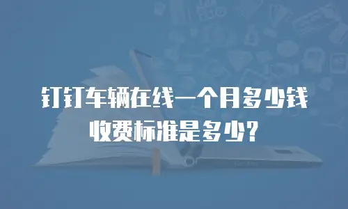 钉钉车辆在线一个月多少钱收费标准是多少？