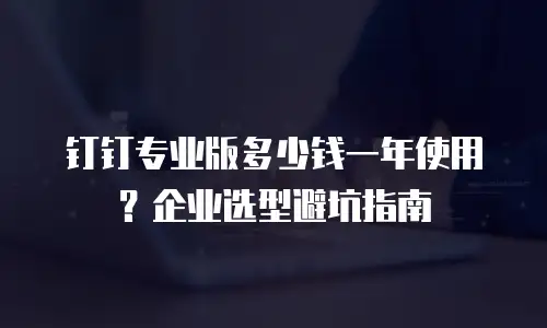 钉钉专业版多少钱一年使用？企业选型避坑指南
