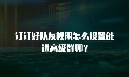 钉钉好队友权限怎么设置能进高级群聊？