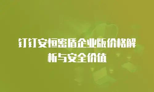 钉钉安恒密盾企业版价格解析与安全价值