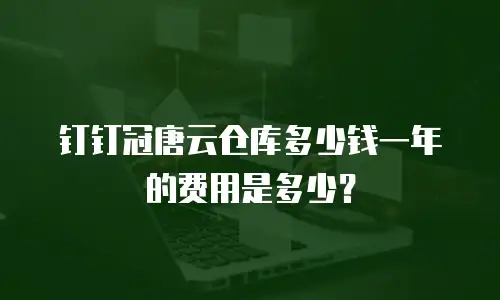 钉钉冠唐云仓库多少钱一年的费用是多少？