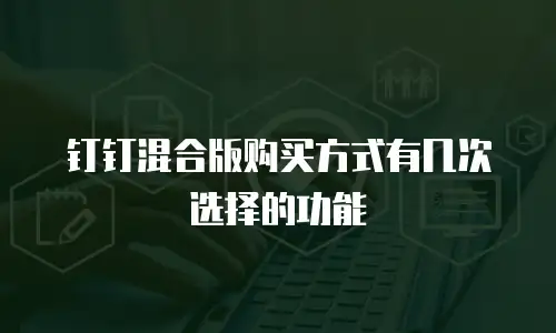 钉钉混合版购买方式有几次选择的功能