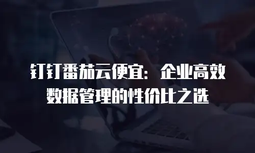 钉钉番茄云便宜：企业高效数据管理的性价比之选