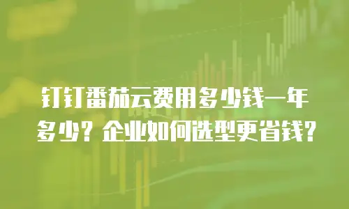 钉钉番茄云费用多少钱一年多少？企业如何选型更省钱？