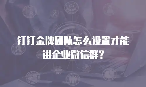 钉钉金牌团队怎么设置才能进企业微信群？