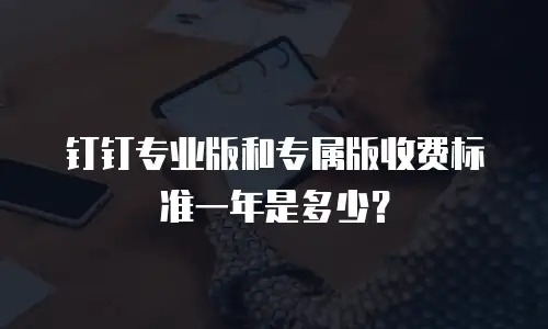 钉钉专业版和专属版收费标准一年是多少？