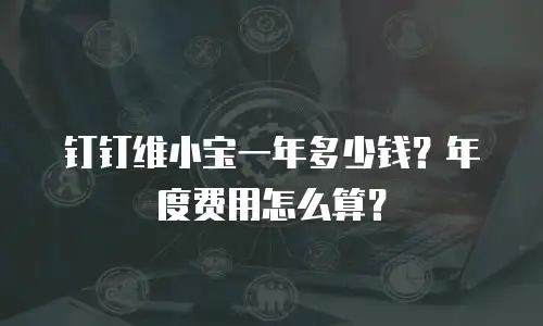 钉钉维小宝一年多少钱？年度费用怎么算？