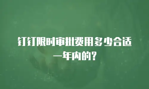 钉钉限时审批费用多少合适一年内的？