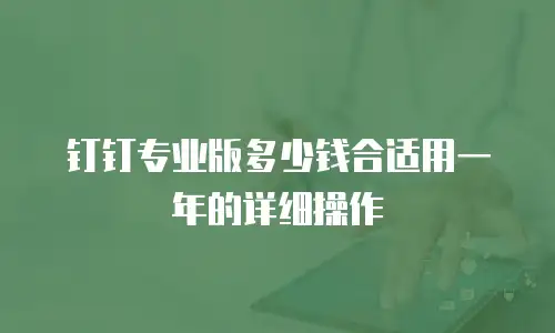 钉钉专业版多少钱合适用一年的详细操作