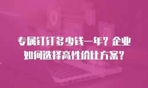 专属钉钉多少钱一年？企业如何选择高性价比方案？