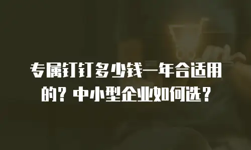 专属钉钉多少钱一年合适用的？中小型企业如何选？