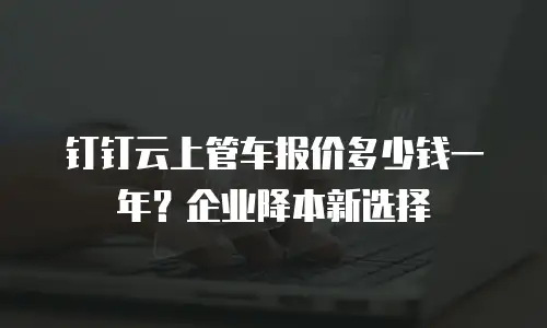 钉钉云上管车报价多少钱一年？企业降本新选择