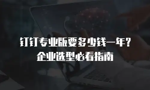 钉钉专业版要多少钱一年？企业选型必看指南