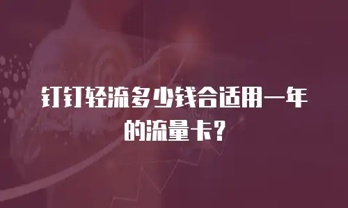 钉钉轻流多少钱合适用一年的流量卡？