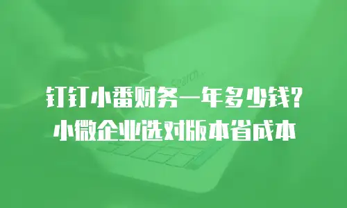 钉钉小番财务一年多少钱？小微企业选对版本省成本