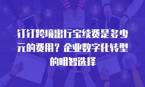 钉钉跨境出行宝续费是多少元的费用？企业数字化转型的明智选择