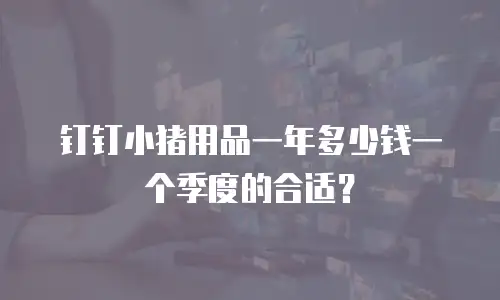钉钉小猪用品一年多少钱一个季度的合适？