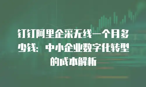 钉钉阿里企采无线一个月多少钱：中小企业数字化转型的成本解析