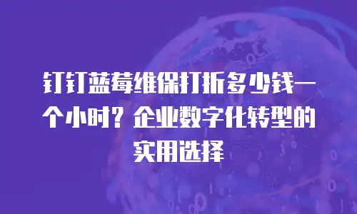 钉钉蓝莓维保打折多少钱一个小时？企业数字化转型的实用选择